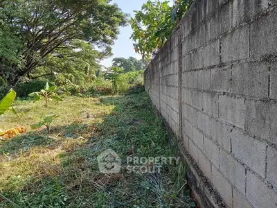 Spacious outdoor garden area with lush greenery and privacy wall, ideal for landscaping or outdoor activities.