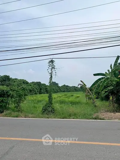 image_rental-27754528