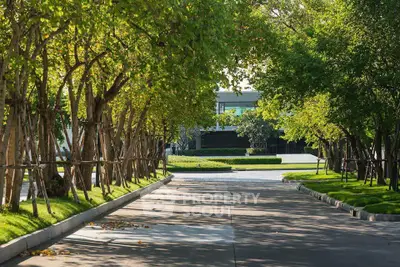 Serene driveway lined with lush trees leading to a modern building entrance.