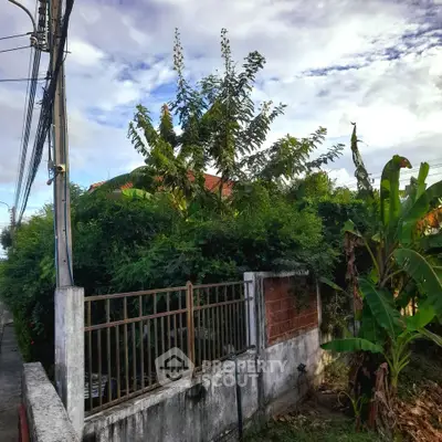 Charming suburban property with lush greenery and secure fencing, ideal for privacy and tranquility.