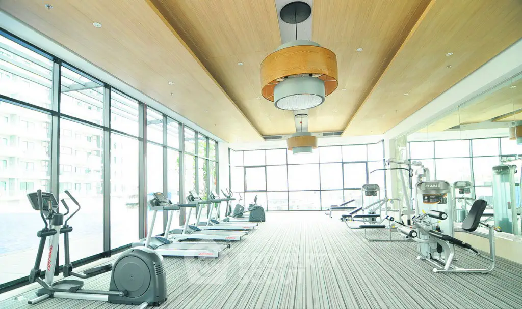Spacious modern gym with large windows and state-of-the-art equipment.