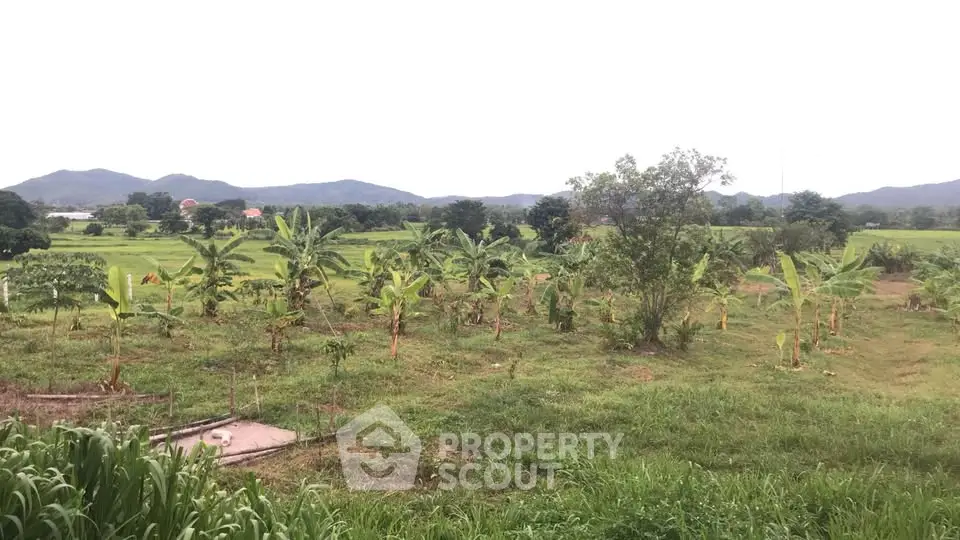 Expansive green land with banana trees and scenic mountain views, perfect for agricultural development.