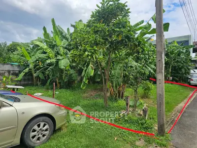 Spacious garden plot with lush greenery and potential for development.