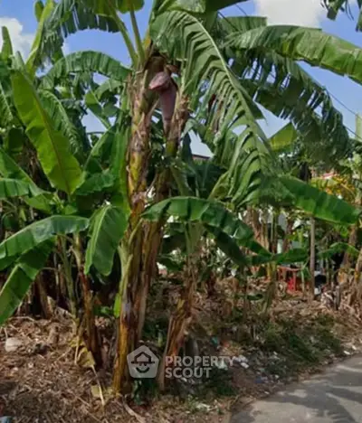 Screenshot 2568-11-04 at 12.06.24.jpg