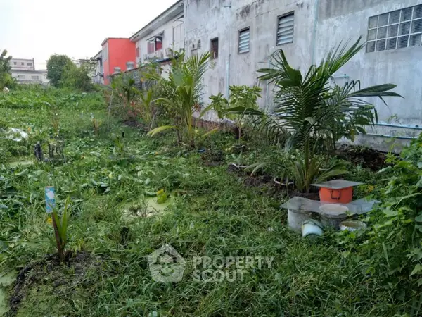 image_rental-14038490