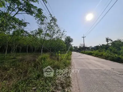Scenic rural road with lush greenery and clear blue sky, perfect for tranquil living.