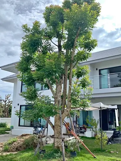 image_rental-27057522