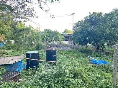 image_rental-31064635