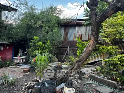 Charming rustic garden with lush greenery and a quaint outdoor setting, perfect for nature lovers.