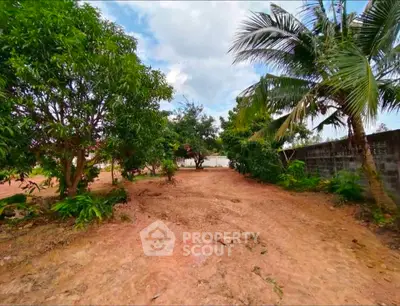 Spacious tropical garden with lush greenery and palm trees, perfect for outdoor relaxation and landscaping.