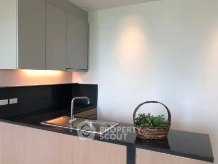 Modern kitchen with sleek cabinetry and stylish countertop featuring a decorative plant basket.