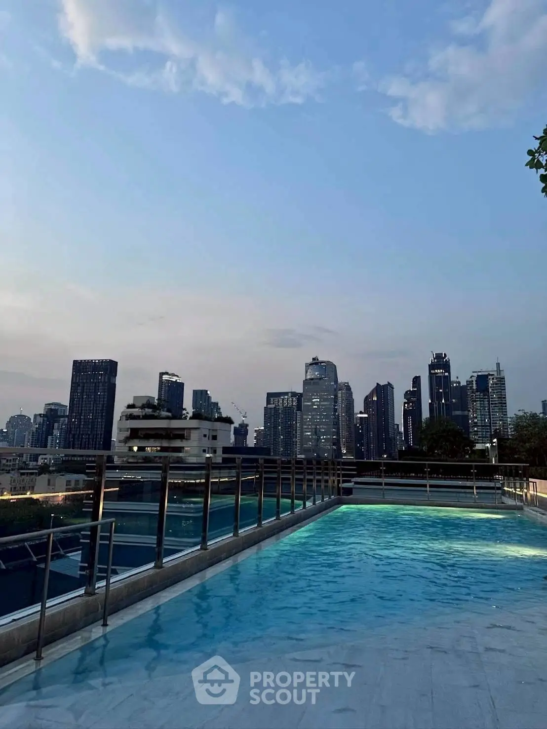Stunning rooftop pool with breathtaking city skyline view at dusk.