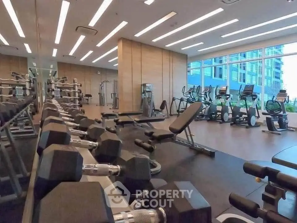 Modern gym with state-of-the-art equipment and large windows in luxury apartment building.