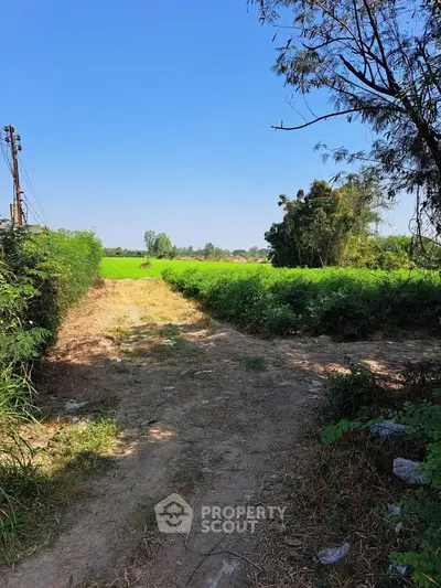 Scenic rural landscape with lush green fields and clear blue sky, perfect for agricultural real estate opportunities.