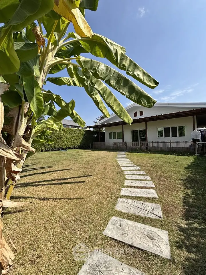 Charming garden view with stone path leading to a cozy house, perfect for outdoor relaxation.