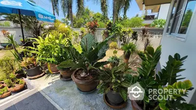 Charming garden oasis with lush greenery and potted plants in a serene residential setting.