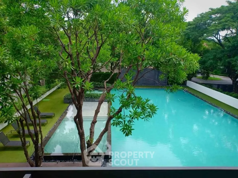 Luxurious residential pool surrounded by lush greenery, offering a serene and private oasis.