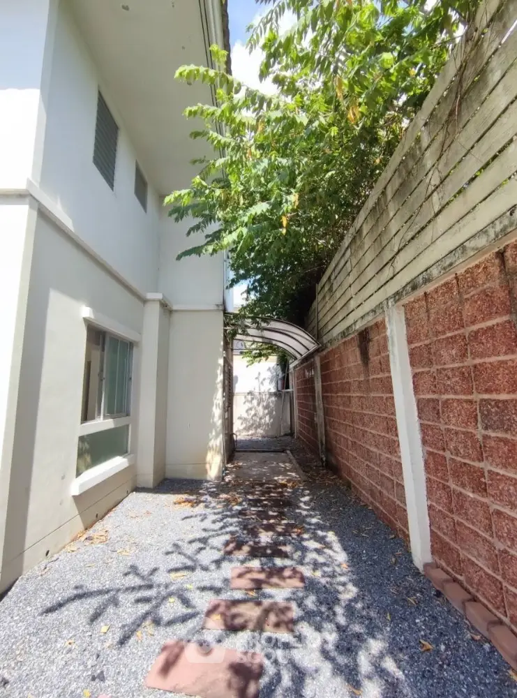 Charming side pathway with lush greenery and brick wall in modern property