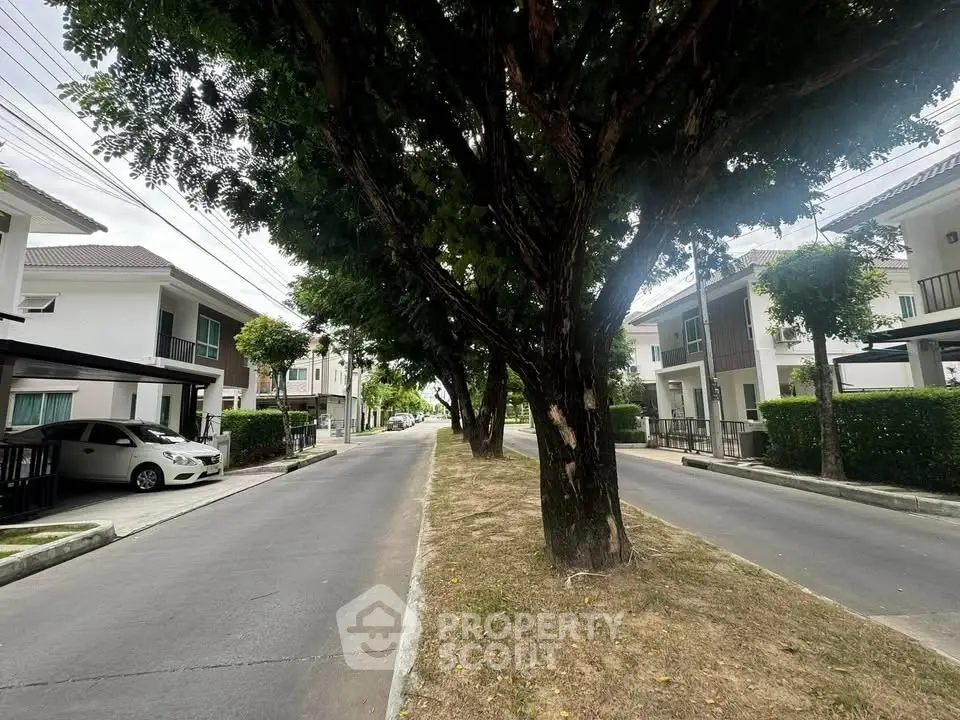 Charming suburban street view with modern houses and lush trees, perfect for family living.
