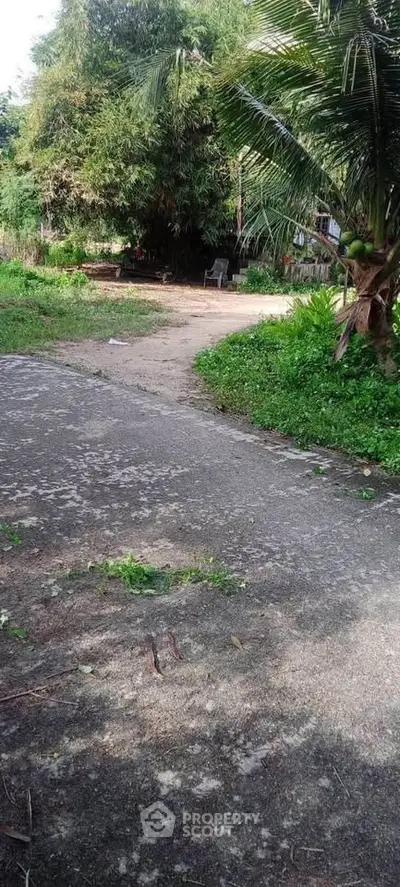 Charming rural property with lush greenery and a serene pathway, perfect for nature lovers seeking tranquility.