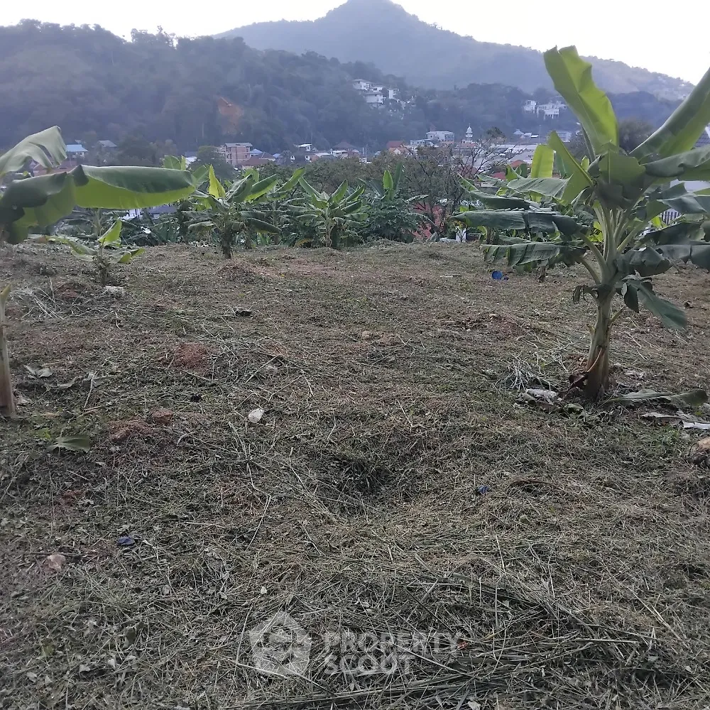 Scenic land plot with banana trees and mountain view, ideal for development