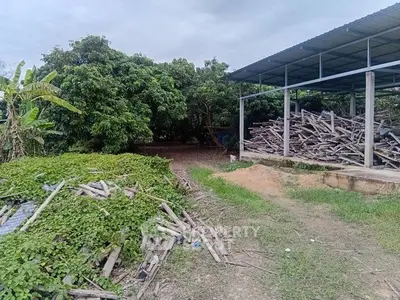 Spacious outdoor area with metal shed and lush greenery, ideal for storage or agricultural use.