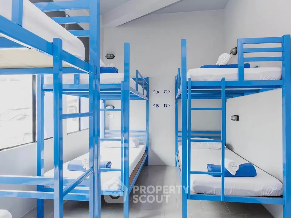Bright and modern dormitory room with blue bunk beds and natural light.