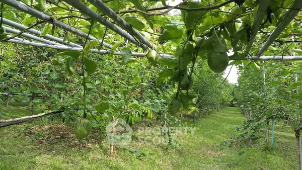 image_rental-17762452