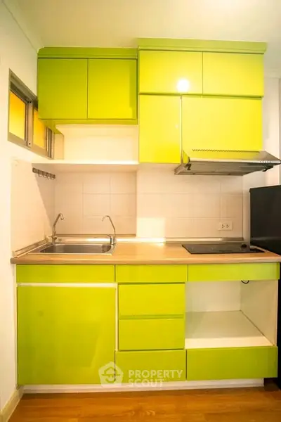 Modern compact kitchen with vibrant green cabinets and sleek design