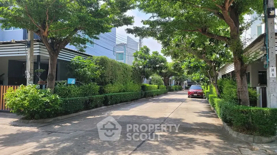 Charming residential street with lush greenery and modern homes, perfect for serene living.