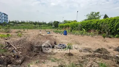 Expansive vacant land with lush greenery, perfect for development opportunities.