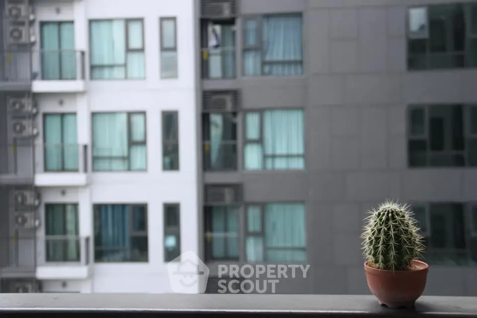 Modern apartment building exterior with cactus on balcony railing, showcasing urban living.