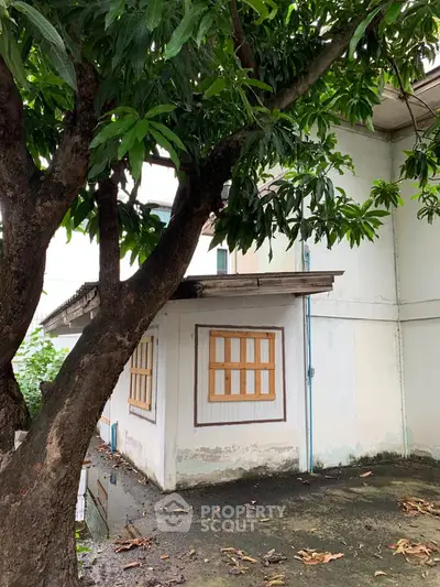 Charming vintage house with lush tree in tranquil setting