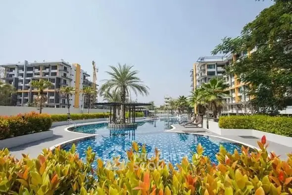 image_rental-28629461