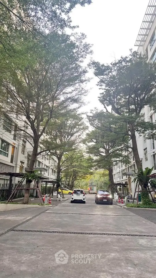 Charming tree-lined residential street with modern buildings and parked cars.
