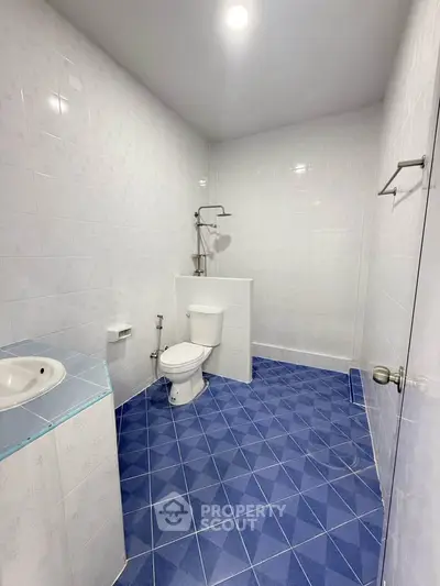 Spacious bathroom with modern fixtures and blue geometric floor tiles.