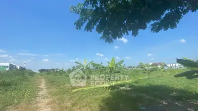 image_rental-26775398