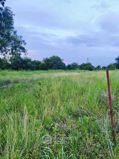 Expansive green land plot with lush vegetation, perfect for development opportunities.
