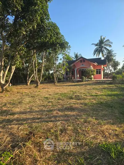 image_rental-29558464