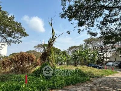 Spacious land plot with lush greenery and potential for development in a serene neighborhood.