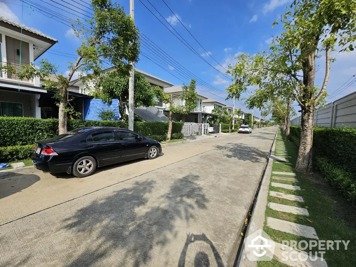 Charming residential street with modern houses and lush greenery