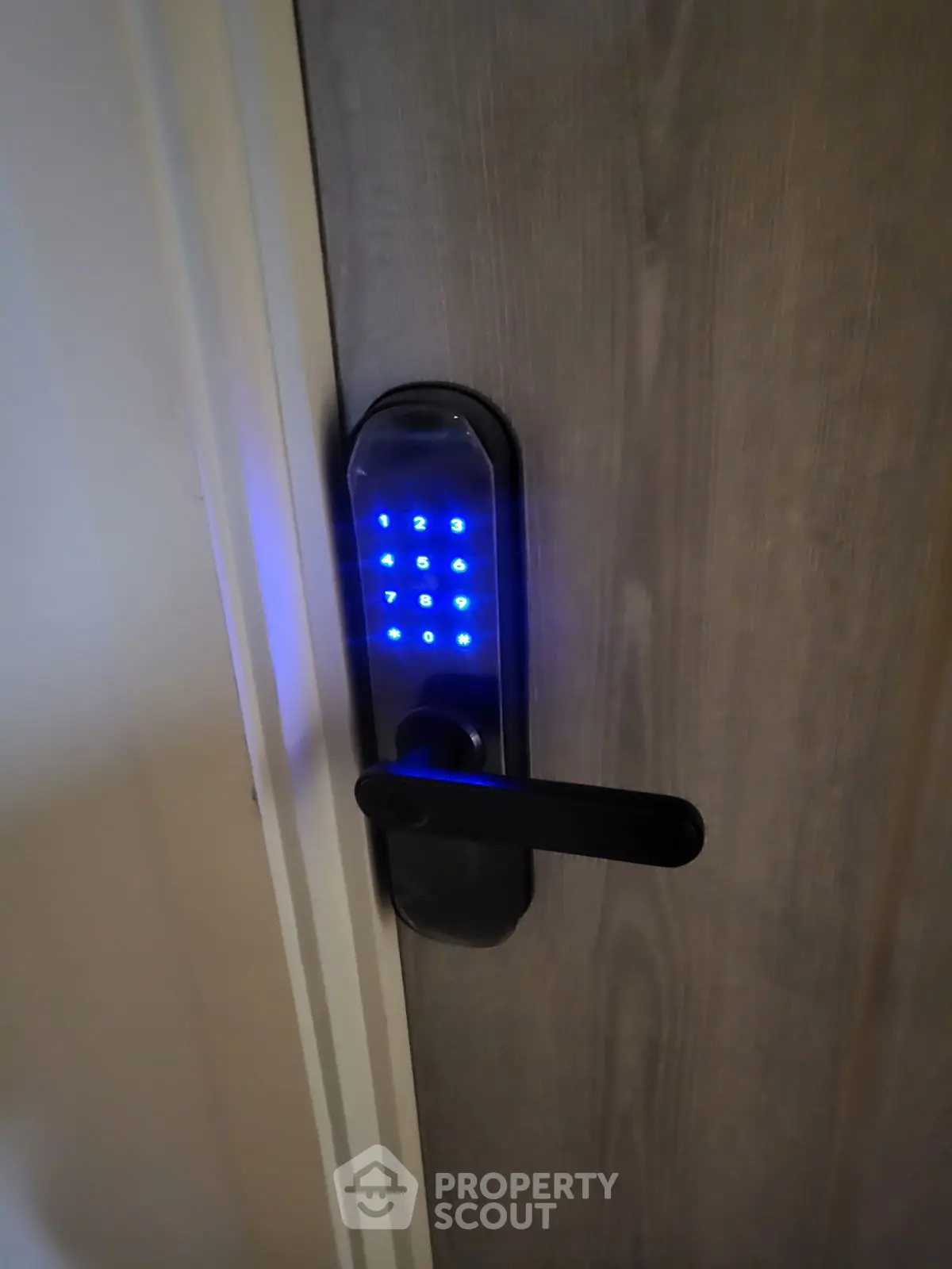 Modern digital door lock with illuminated keypad on wooden door, enhancing security and style.