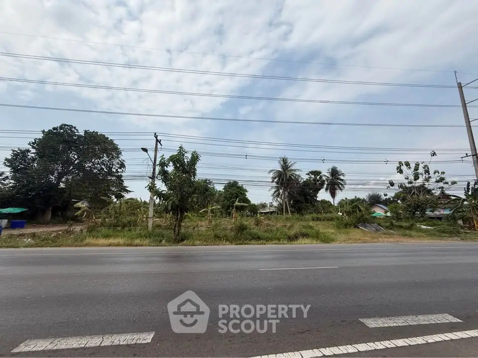 Expansive land plot with road access and lush greenery, ideal for development opportunities.