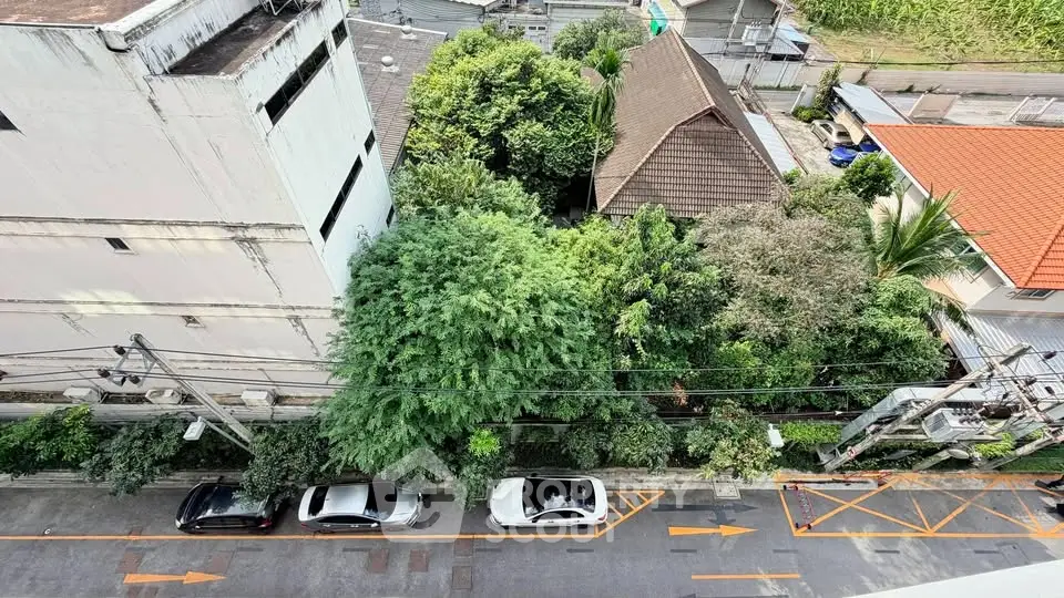 Aerial view of residential area with lush greenery and parked cars on the street.
