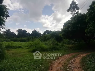 Expansive green land with lush vegetation and clear sky, ideal for development opportunities.
