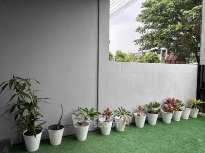 Charming garden balcony with lush potted plants and serene ambiance.