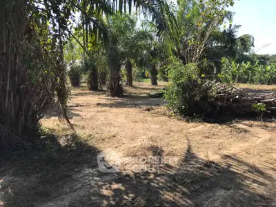 image_rental-28025142