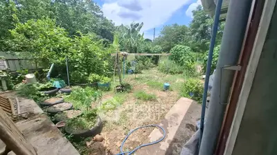 Lush garden view with vibrant greenery and open sky, perfect for nature lovers.