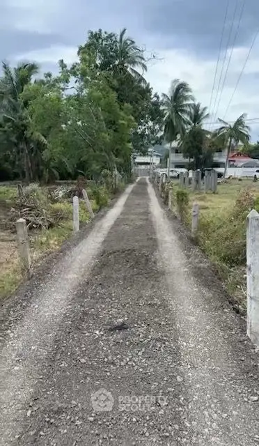 image_rental-30460876