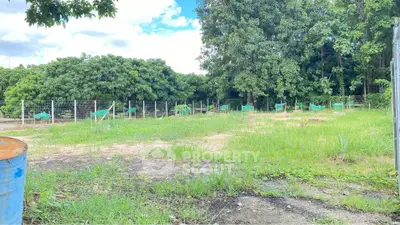 Spacious green land plot with lush trees, perfect for development or agriculture.